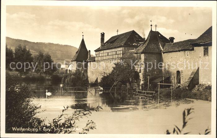 Weissenburg Bayern Seeweiher Schwan