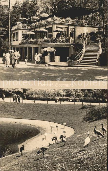 DORTMUND  CITY Tierparkt Straus Flamingo