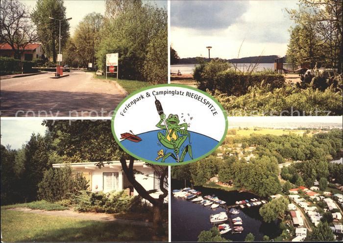 Petzow Ferienpark Campingplatz Riegelspitze Frosch