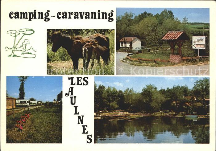 Hucqueliers Les Aulnes Camping Caravaning Pony