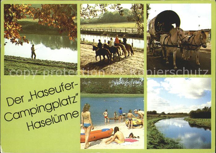 Haseluenne Haseufercampingplatz Pferdekutsche Angeln