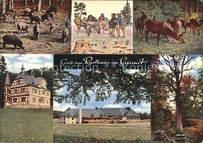 Rohrbrunn Autobahn Rasthaus im Spessart Wild