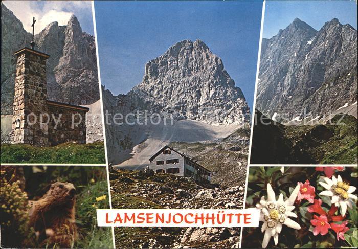 Lamsenjochhuette Naturschutzgebiet Karwendel Murmeltier Alpenflora