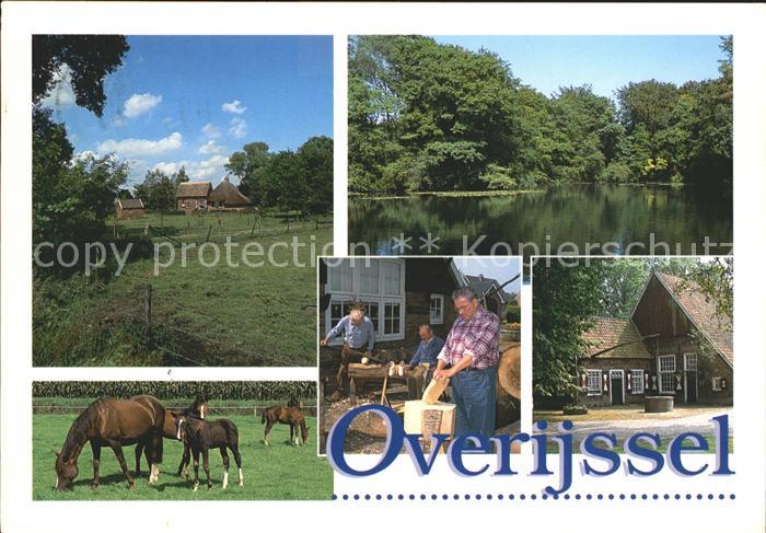 Zwolle Overijssel Landschaft Pferde Bauernhof Holzschuhe