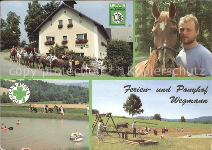 Waldershof Ferienhof Ponyhof Wegmann Pferd Kinderspielplatz Reiten
