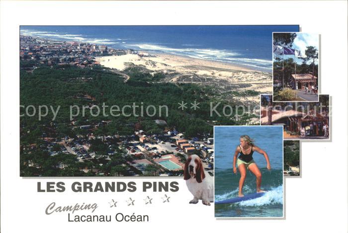 Lacanau Camping Les Grands Pins Fliegeraufnahme