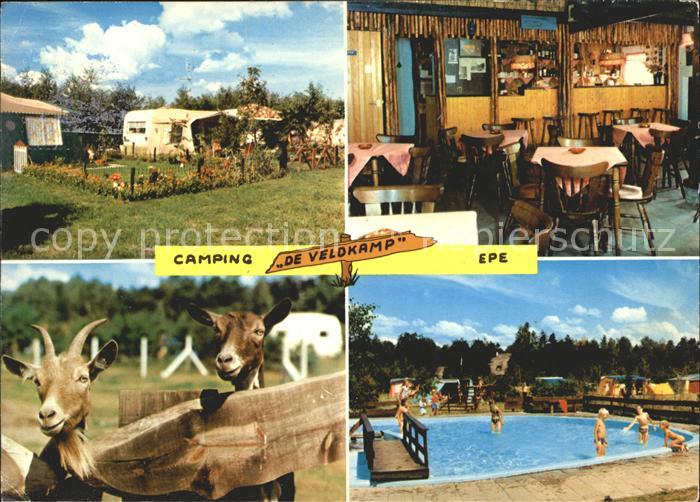 Epe Gelderland Camping De Veldkamp Swimming Pool Ziegen Tiergehege
