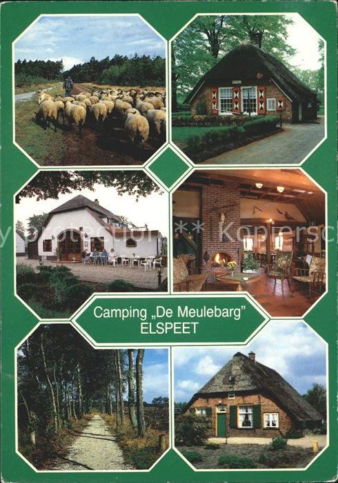 Elspeet Camping De Meulebarg Schafe Restaurant Waldweg