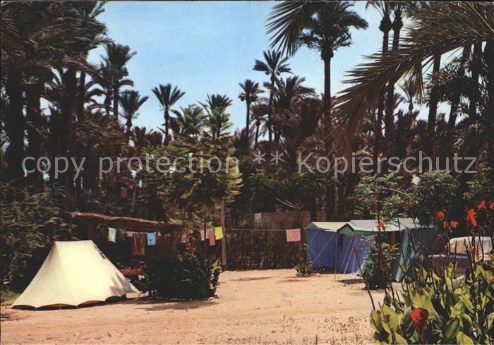 Elche Camping Palmeral vista parcial