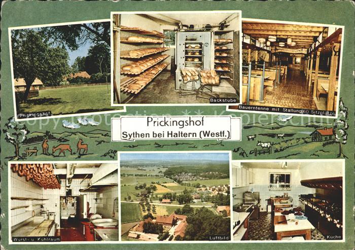 Sythen Prickingshof Westfaelischer EWG Musterhof