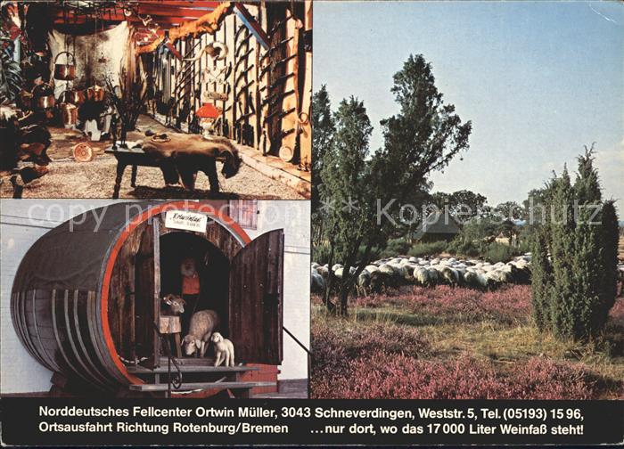 Schneverdingen Norddeutsches Fellcenter Lueneburger Heide Heidschnucken