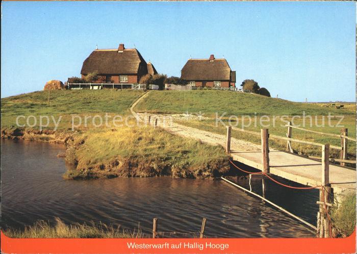 Hallig Hooge Westerwarft