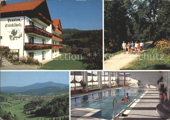Grafenau Niederbayern Pension Stoecklholz Hallenbad Wandern Bayerischer Wald