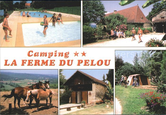 Les Eyzies-de-Tayac-Sireuil Camping La Ferme du Pelou Swimming Pool Pferde