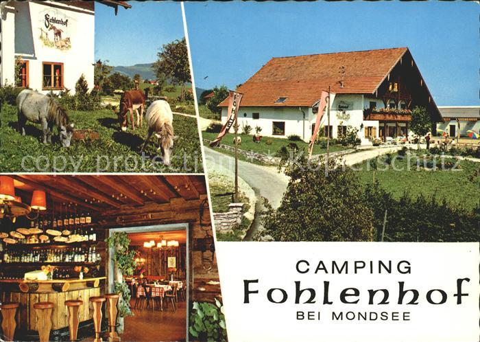 Mondsee Salzkammergut Camping Fohlenhof Restaurant Bar0