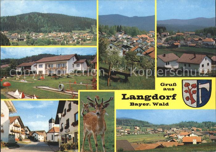 Langdorf Regen Panorama Minigolf Strassenpartien Ortsansichten