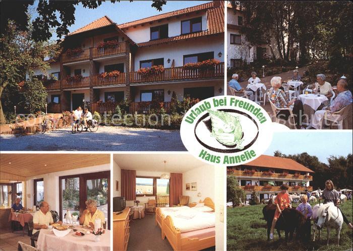 Bad Holzhausen Luebbecke Pension Haus Annelie Garten Gastraum Zimmer Ponyreiten
