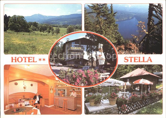 Zelezna Ruda Markt Eisenstein Hotel Stella Landschaftsmotiv See Gastraum Terrass