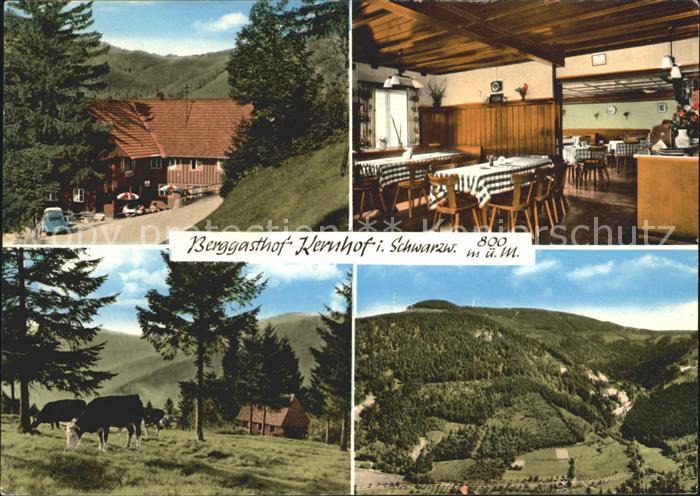 Seebach Ortenaukreis Gasthof Pension Kernhof Kuehe