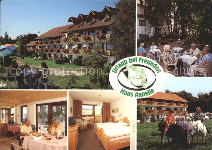 Holzhausen Luebbecke Pension Haus Annelie Wiehengebirge Pony