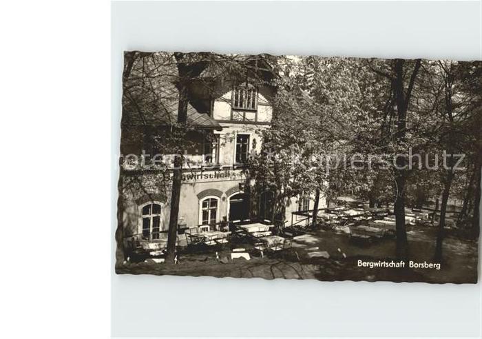 Borsberg Berg Bergwirtschaft