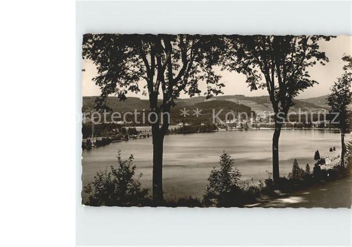 TITISEE Schwarzwald BW Titisee