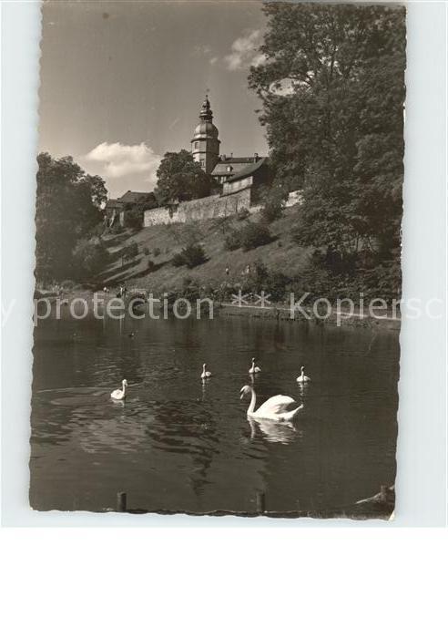 Berleburg Bad Schlosspark Schwaene