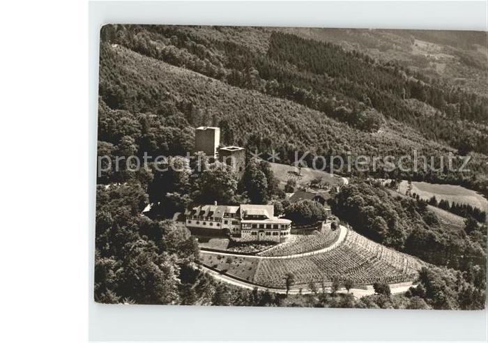 Buehl Baden Burg Windeck Fliegeraufnahme