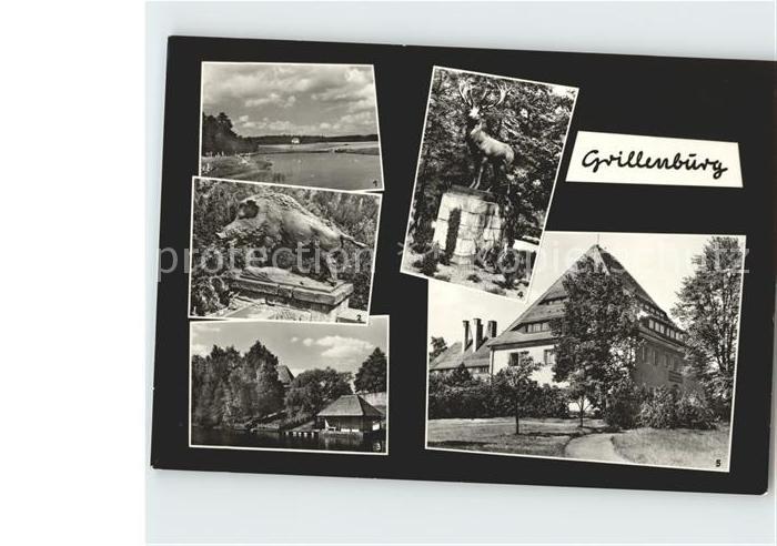 Grillenburg Wildschwein Hirsch Gondelteich