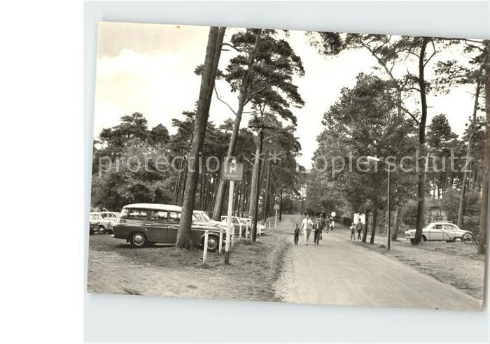 Trassenheide Usedom Weg zum Strand