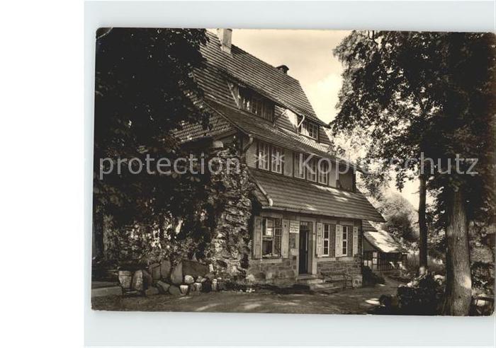 Neustadt Harz Burggasthaus Ruine Hohnstein