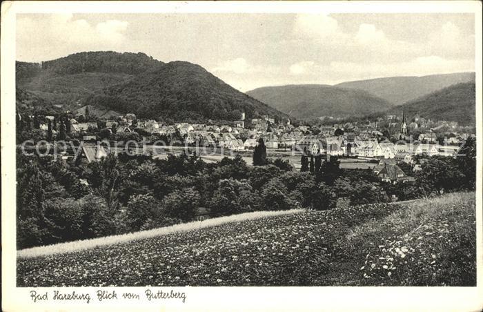 Bad Harzburg Panorama vom Butterberg