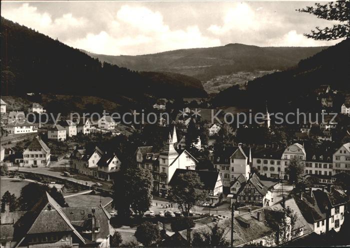 Herrenalb Bad Herrenalb Ortsansicht