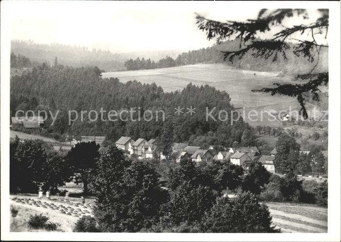 Schoenau vor dem Walde Panorama