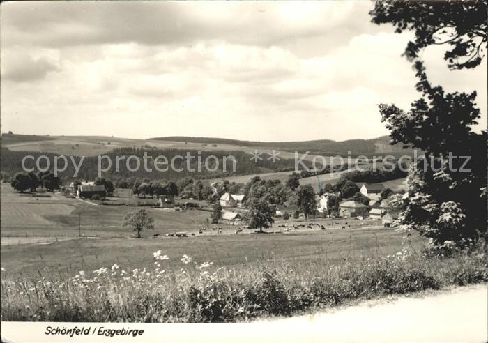 Schoenfeld Erzgebirge Panorama