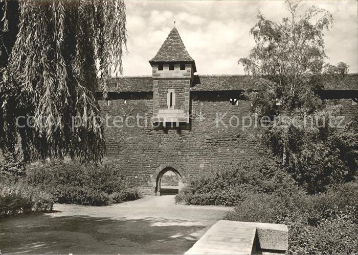 Worms Rhein Luther Pfoertchen