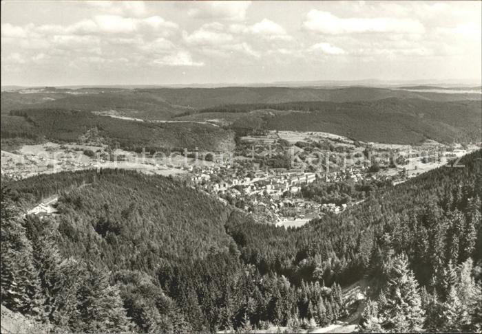 Steinach Thueringen Blick von der Milonsruh