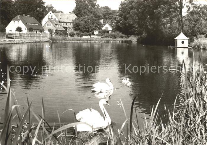 Schoenbach Sachsen Teilansicht Schwanenteich