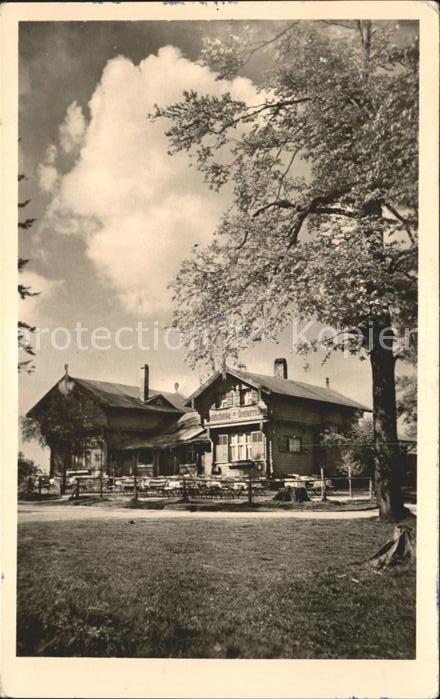 Brotterode Waldschaenke Dreiherrnstein