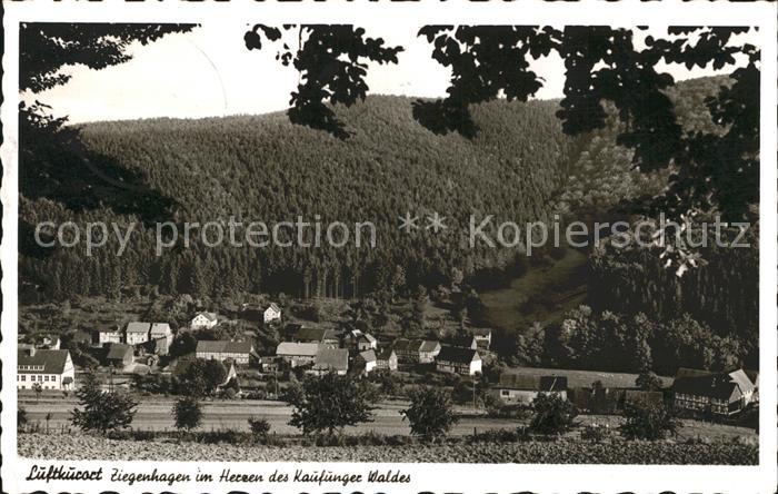 Ziegenhagen Witzenhausen