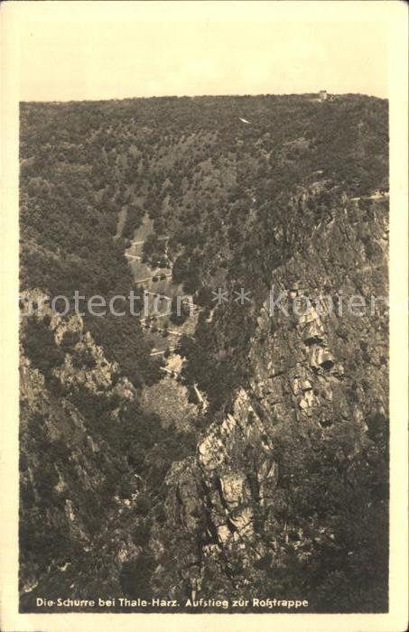 Thale Harz Die Schurre Aufstieg zur Rosstrappe