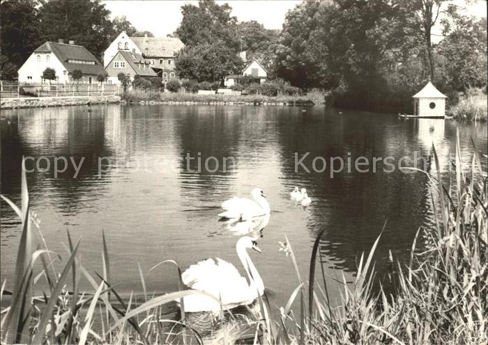 Schoenbach Sachsen Schwanenteich