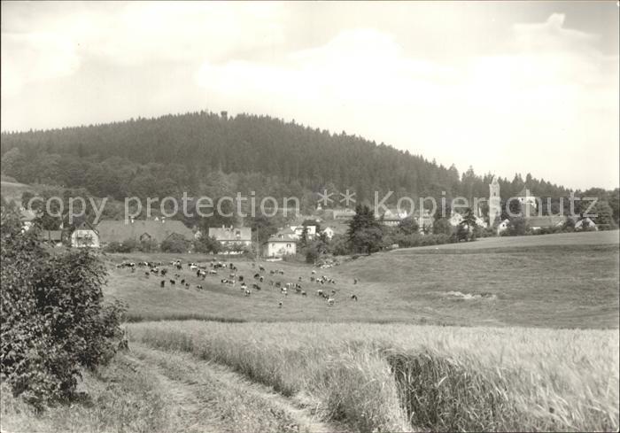Schoenberg Vogtland Panorama