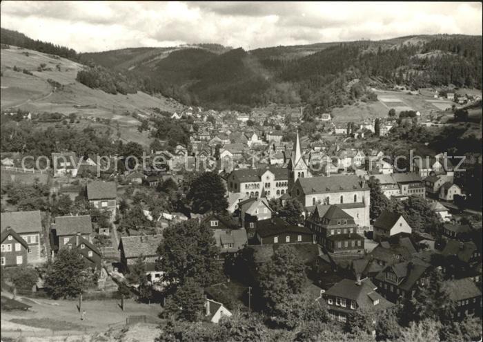 Steinach Thueringen Totalansicht