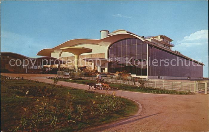 Juarez Hopodromò Y Galgodromo de Ciudad Juarez