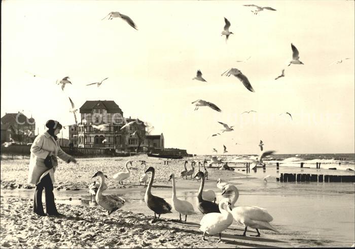 Kuehlungsborn Ostseebad Strand