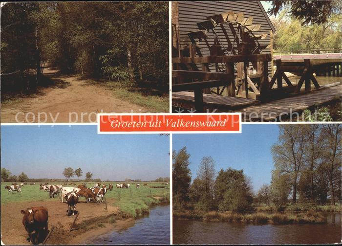 Valkenswaard Kuehe Wasserrad