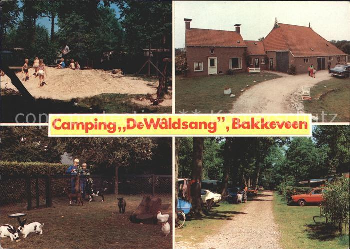 Bakkeveen Camping De Waldsang
