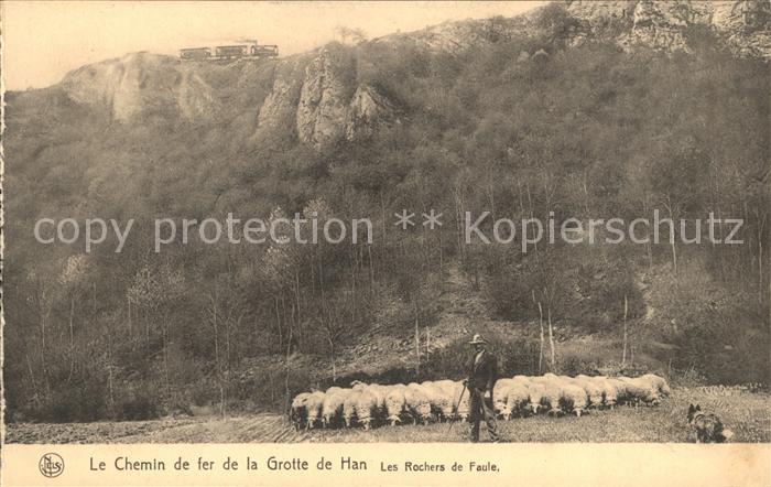 Hirte Schafe Chemin de fer Grotte de Han Roch