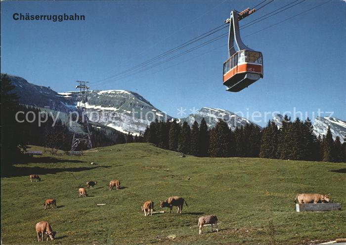 Seilbahn Chaeserrugg Unterwasser Iltios Churfirsten